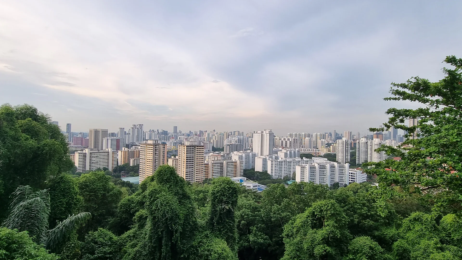 Online Reiseführer für Singapur