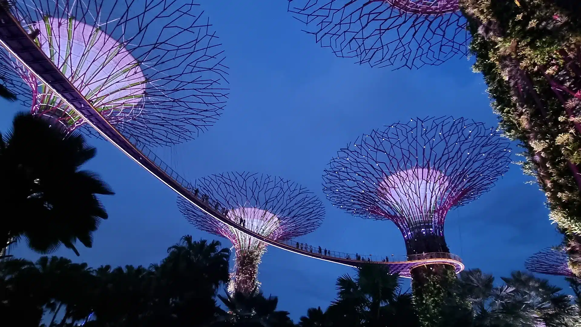 Online Reiseführer für Singapur