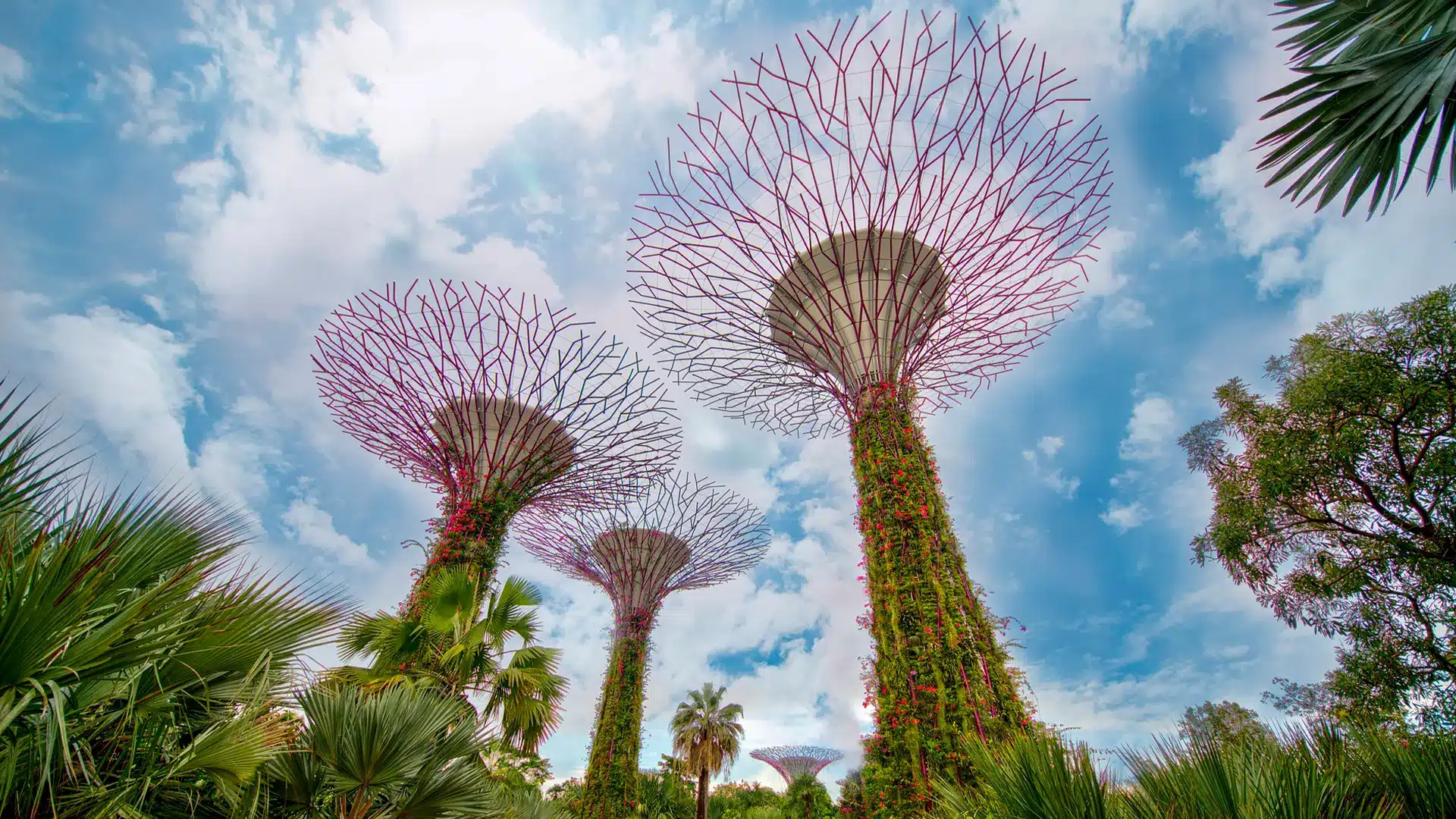 SIM Karte für Singapur